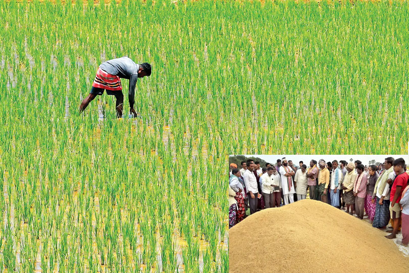 നെല്ല് സംഭരണത്തിന്‌ 100 കോടി രൂപ അനുവദിച്ചു 